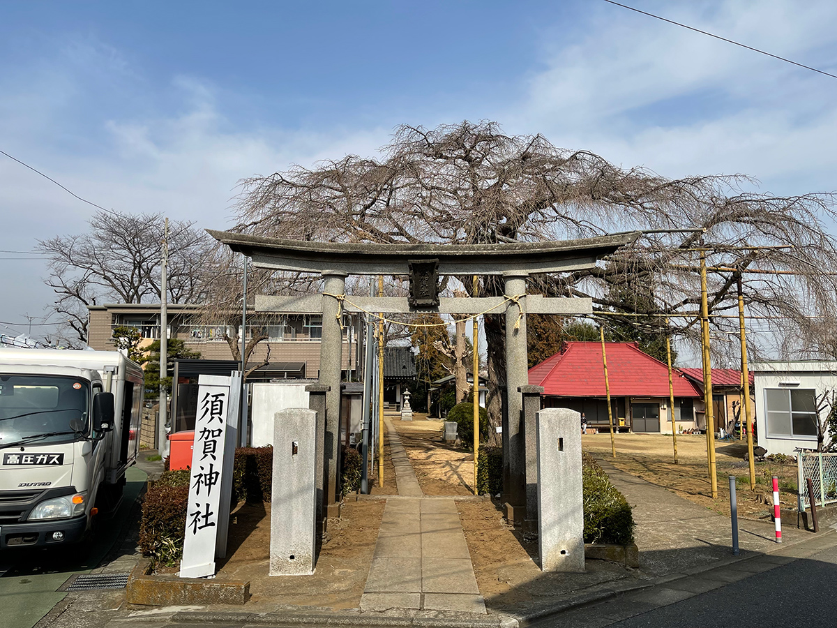 栗谷須賀神社（川崎市多摩区栗谷）｜散歩日記