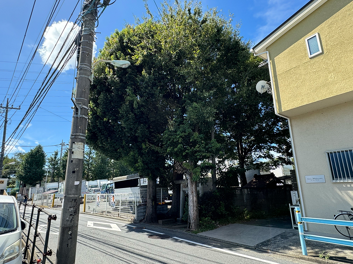 稲荷神社（杉並区松ノ木）